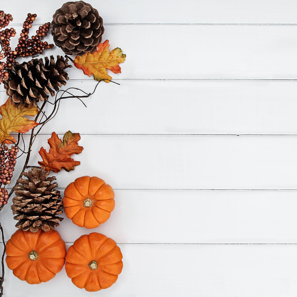 Wie Sie in diesem Herbst die Herbstdüfte genießen können – wir listen unsere Lieblingsdüfte auf