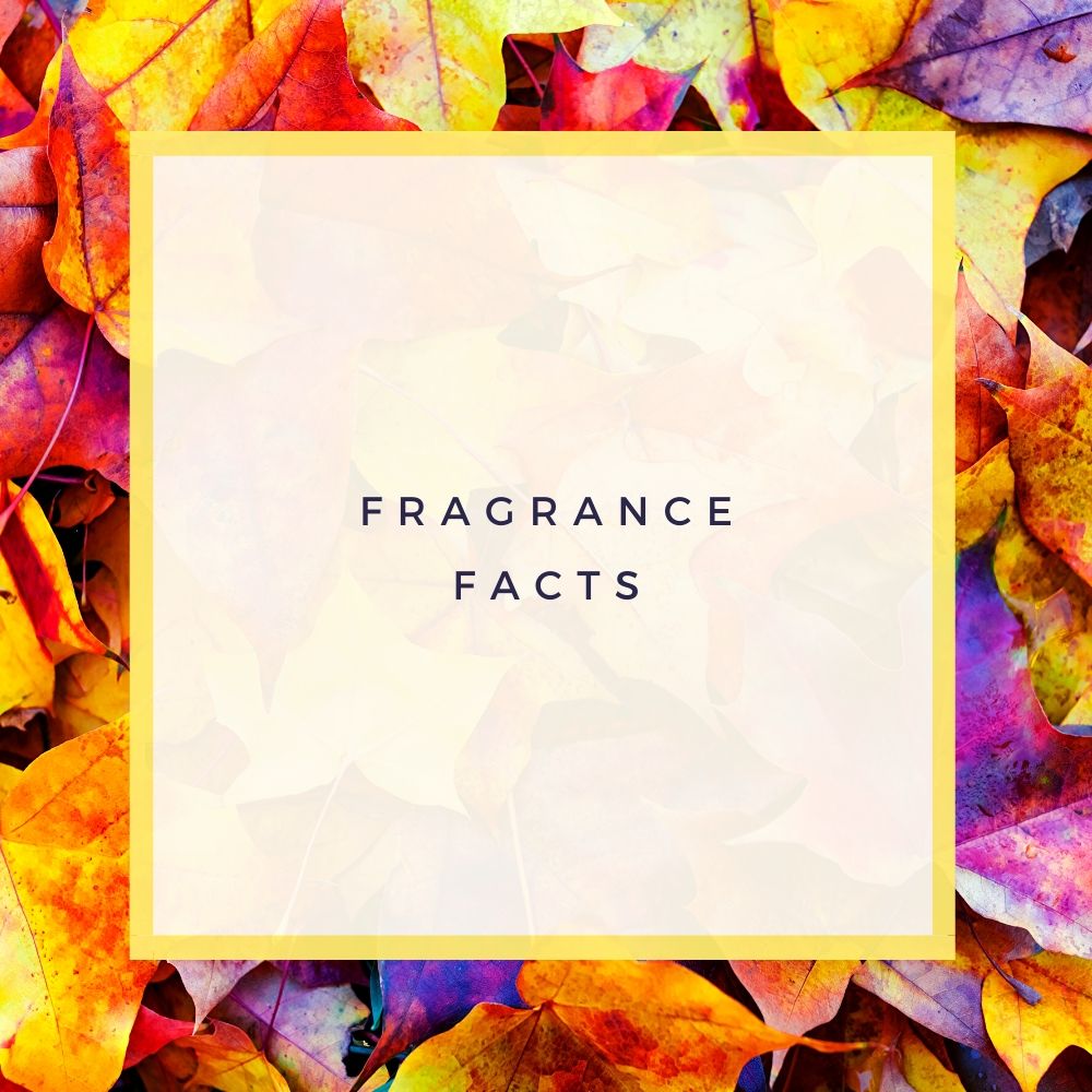 Fragrance facts – celebrating world fragrance day