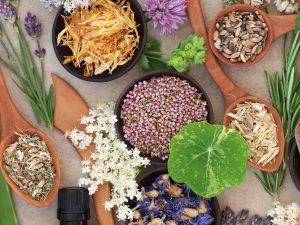 Spiced Fragrances. Herbs, Spices and Flowers.